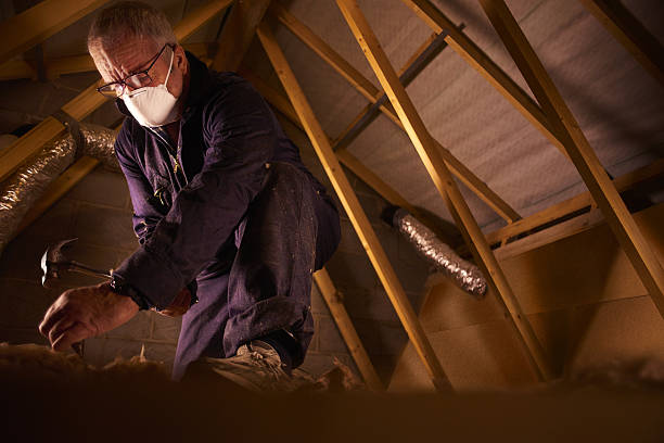 Best Cellulose Insulation in Bronxville, NY